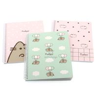 Pushen Sp Defter 16X22 80 Çizgili