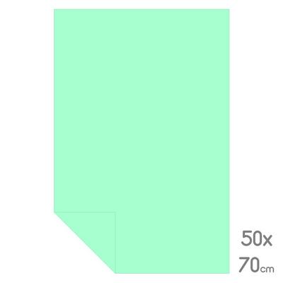 Lüks Fon Kartonu Tam Boy 50X70 160Gr Su Yeşili