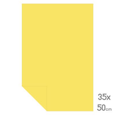 Lüks Fon Kartonu Yarım Boy 35X50 160Gr Altın